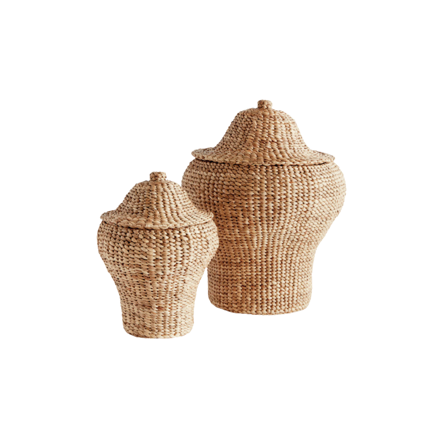Water Hyacinth Ginger Jars