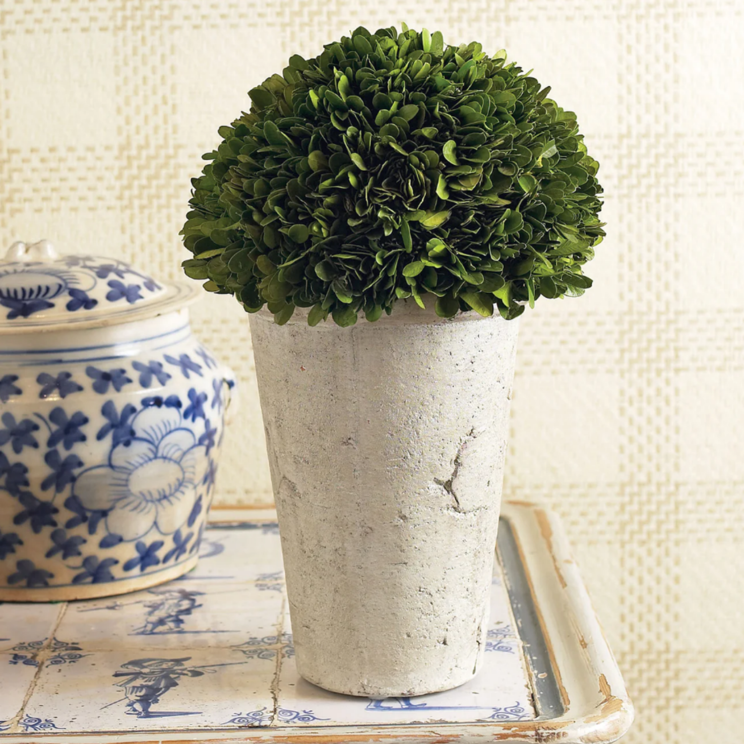 Boxwood Three-Quarter Ball in Pot