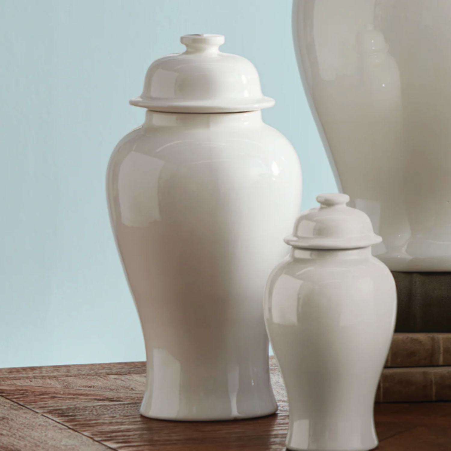 Large Noah Ginger Jar