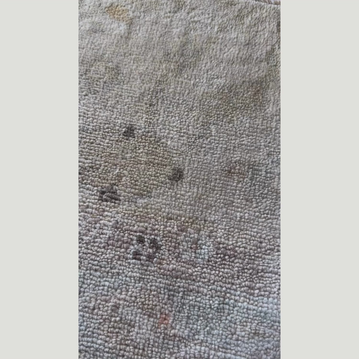 Fern Grove Rug